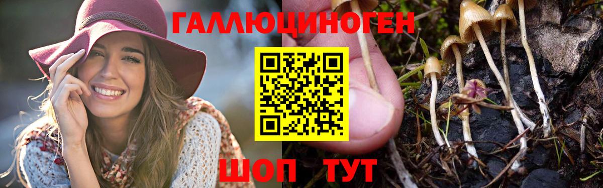 Псилоцибиновые грибы Magic Shrooms Партизанск