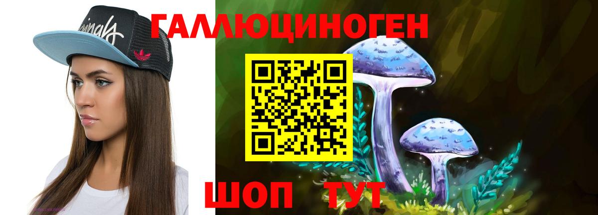 Псилоцибиновые грибы Psilocybe  Вход с VPN  Партизанск  Псилоцибиновые грибы прущие грибы 
